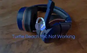 Turtle beach headset Mic Not Working