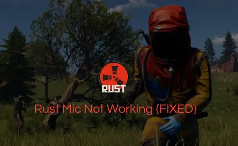 rust mic not working