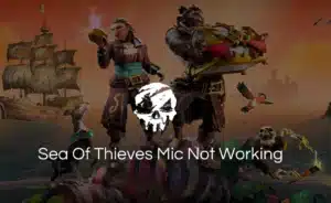 sea of thieves mic not working